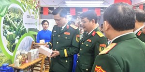 Cà phê 15: Cầu nối hợp tác nông nghiệp bền vững Việt - Lào