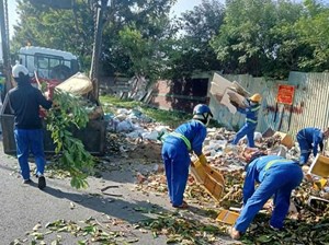 Lan tỏa nếp sống xanh từ những hành động bền bỉ ở Sơn Trà