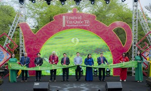 Liên hoan Trà Quốc tế – Huế 2025 khai mạc trong không gian Đại Nội