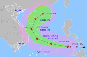  Đà Nẵng: Chủ động triển khai các công tác ứng phó với bão Rai 