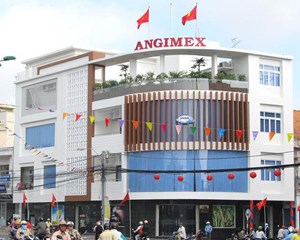 Angimex bán 49% vốn tại công ty con cho Louis Capital