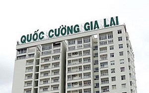 Quốc Cường Gia Lai dự kiến giải thể công ty con và liên kết