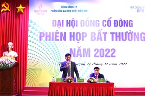 PVFCCo - Đạm Phú Mỹ: Các khoản đầu tư vào công ty liên kết mang lại hiệu quả ra sao?