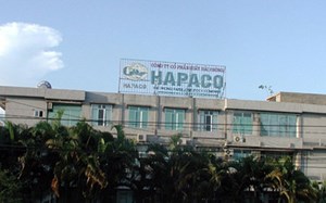 Hapaco dự kiến chào bán 55,47 triệu cổ phiếu giá 10.000 đồng