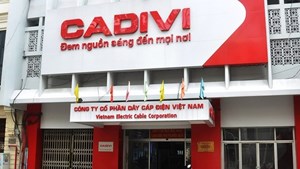 CAV: Chốt danh sách tạm ứng cổ tức đợt 2/2020