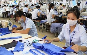 TCM: Ghi nhận lãi ròng năm 2020 tăng 12%