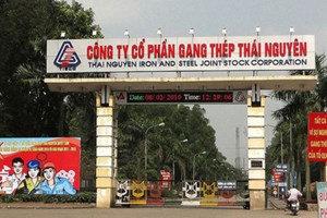 Giá thép tăng mạnh, TIS báo lãi năm 2021 gấp 13 lần