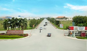 NTC: Lợi nhuận quí IV sụt giảm 30%