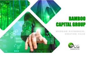 Bamboo Capital thành công chào bán hơn 148 triệu cổ phiếu