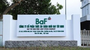 BaF Việt Nam (BAF) thay đổi mục đích sử dụng vốn lô trái phiếu mệnh giá 300 tỷ đồng