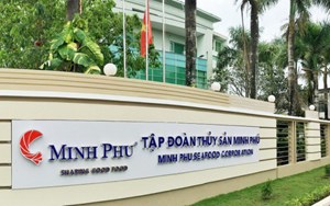 Thoát án chống phá giá, vua tôm Minh Phú báo lãi đột biến 