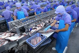 Vĩnh Hoàn (VHC) đặt mục tiêu lợi nhuận cao nhất từ khi niêm yết trong năm 2022