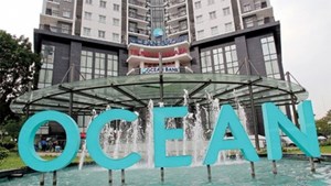 Ocean Group đặt mục tiêu lợi nhuận giảm 82%, đổi tên thành OGC Group trong năm 2022