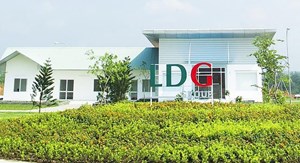 LDG báo lãi quí 1/2021 đạt 300 triệu đồng