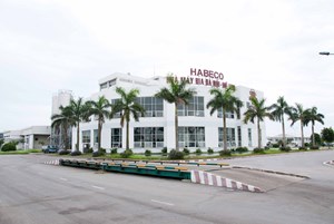 Habeco báo lãi 62 tỷ đồng quý đầu năm