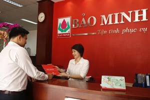 Bảo hiểm Bảo Minh (BMI) dự chi 164 tỷ đồng trả cổ tức, SCIC dự thu 82 tỷ đồng