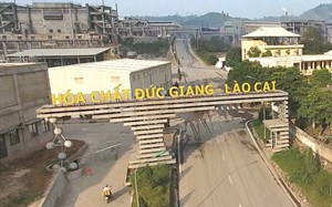 Hóa chất Đức Giang (DGC) dự kiến phát hành 200 triệu cổ phiếu chia cổ tức năm 2021