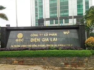 Điện Gia Lai (GEG) chia cổ tức năm 2021 tỉ lệ 6% bằng cổ phiếu 