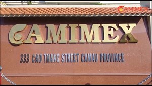 Camimex Group dự kiến phát hành 9 triệu cổ phiếu chia cổ tức