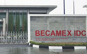 Becamex IDC tạm ứng cổ tức 2020 bằng tiền mặt