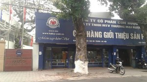 Rượu Hà Nội Halico lỗ liên tiếp 13 quý