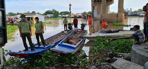 An Giang: Bỏ lại đàn heo hơi khi thấy lực lượng QLTT kiểm tra