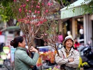 Bộ Lao động đề xuất hai phương án nghỉ Tết Tân Sửu 2021 kéo dài 7 ngày