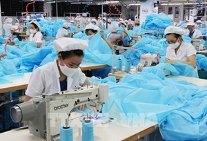 Dệt may TNG phát hành gần 6,4 triệu cổ phiếu để trả cổ tức năm 2020