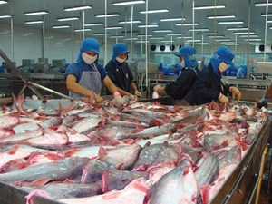 Doanh thu cá tra của Vĩnh Hoàn giảm 9% trong tháng 8