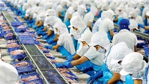 Vĩnh Hoàn  (VHC) rót thêm 158 tỷ đồng vào TNG Foods