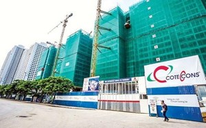 Conteccons chi 342 tỷ mua cổ phiếu quỹ