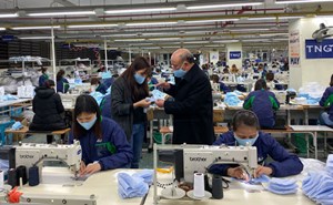 TNG ghi nhận lợi nhuận giảm 60% trong tháng 11