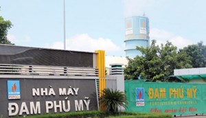 DPM ước lợi nhuận trước thuế năm 2020 vượt 64% kế hoạch