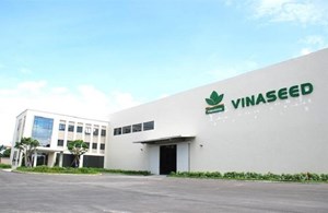 NSC: Chia cổ tức đợt 2/2019 tỷ lệ 25% bằng tiền