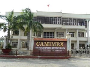 CMX: Chào bán hơn 30 triệu cổ phiếu, tăng gấp đôi vốn điều lệ