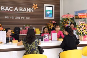 Bac A Bank (BAB) chuẩn bị chào bán hơn 2.500 tỷ đồng trái phiếu