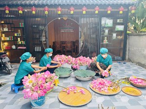 Hương sen Kim Liên kết tinh thành sản phẩm OCOP quê Bác