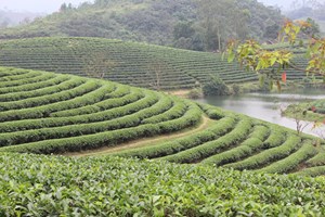 Nghệ An: Chất lượng, an toàn làm nên thương hiệu sản phẩm