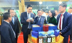 Nghệ An Kết nối cung cầu quảng bá sản phẩm nông nghiệp 2025