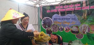 Lan tỏa hương sắc vùng cao tại Hội chợ Xúc tiến Công thương Nghệ An 2025