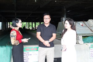 Mía đường Sông Lam bứt phá nhờ chuyển hướng phát triển cây chè chủ lực