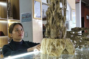 Trầm hương xứ núi Hương Khê vươn tầm quốc tế