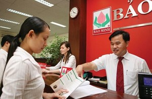 Cập nhật cổ phiếu BMI: Doanh thu khá ổn định bất chấp các thách thức