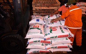 Phân tích cổ phiếu đáng quan tâm ngày 12/5