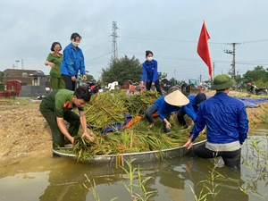 Công an huyện Yên Lạc giúp dân thu hoạch hoa màu và khắc phục hậu quả mưa lũ