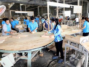 BVSC: Doanh thu 5 tháng đầu 2021 tăng trưởng hơn 32% so với cùng kỳ