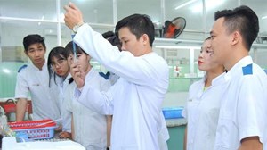 Yêu cầu nhiều trường đại học dừng tuyển sinh hệ cao đẳng