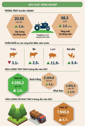 Sản xuất nông, lâm nghiệp và thủy sản 6 tháng đầu năm 2021