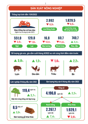 Sản xuất nông, lâm nghiệp và thủy sản vẫn giữ mức tăng khá trong 6 tháng đầu năm 2022