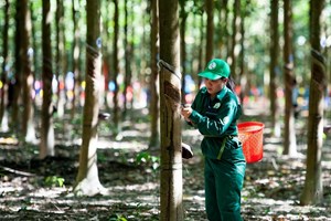 Phân tích cổ phiếu đáng quan tâm ngày 27/7